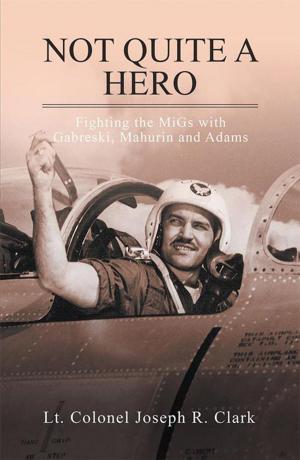 Cover of the book Not Quite a Hero by Desmond Keenan