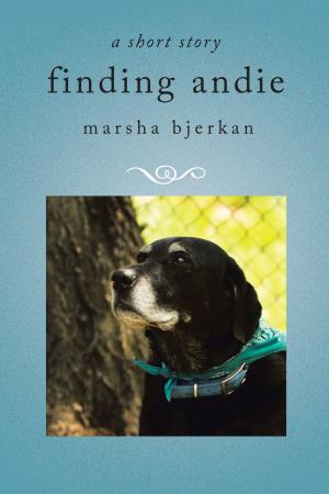 Cover of the book Finding Andie by Rev. Barbara Devine Russell