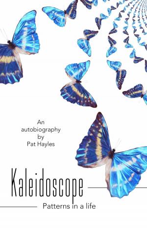 Cover of the book Kaleidoscope by Kelly Brookbank