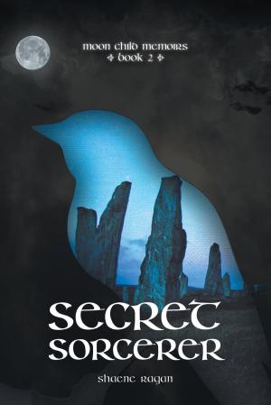 Cover of the book Secret Sorcerer by Curtis Brown