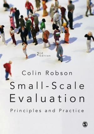 Cover of the book Small-Scale Evaluation by James A. Nottingham