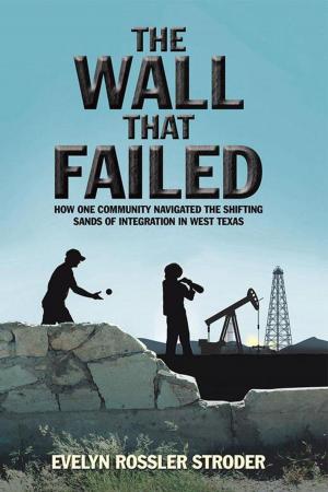 Cover of the book The Wall That Failed by Deborah Hodgson-Ruetz