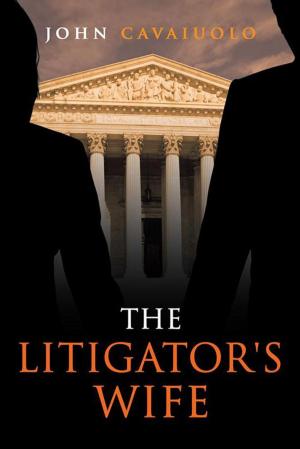 Cover of the book The Litigator's Wife by Nirander Safaya