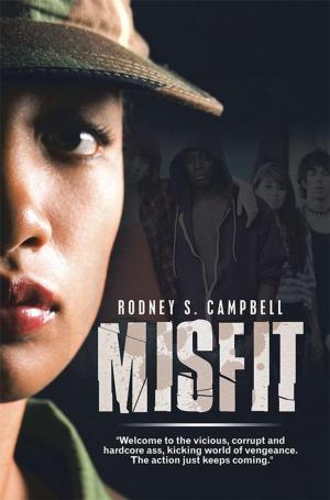 Cover of the book Misfit by S. P. Elledge