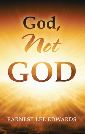 Cover of the book God, Not God by Steve Hailes