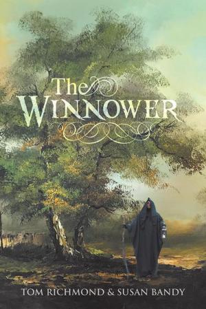 Cover of the book The Winnower by Stephanie Borgert