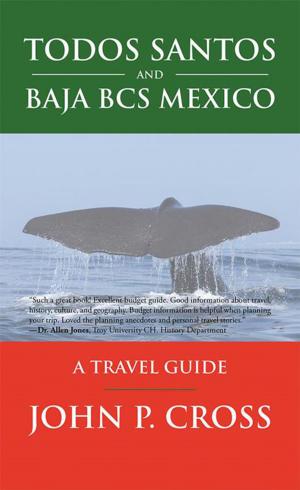 Cover of the book Todos Santos and Baja Bcs Mexico by Phil Hitchcock