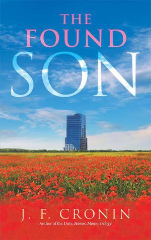 Book cover of The Found Son