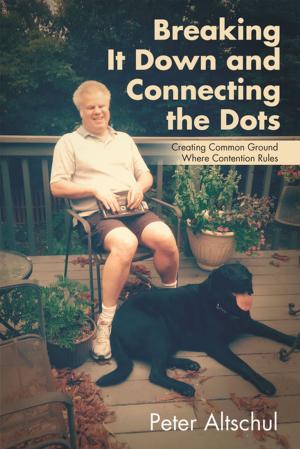 Cover of the book Breaking It Down and Connecting the Dots by Frank J Mueller