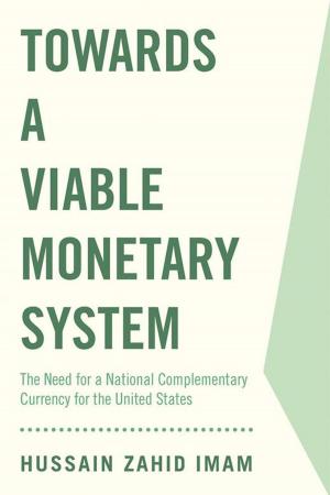 Book cover of Towards a Viable Monetary System