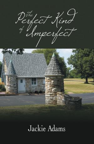 Book cover of The Perfect Kind of Imperfect
