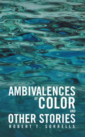 Cover of the book Ambivalences of Color and Other Stories by Glenn F. Chesnut