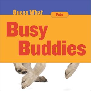 Cover of the book Busy Buddies by Jennifer Colby