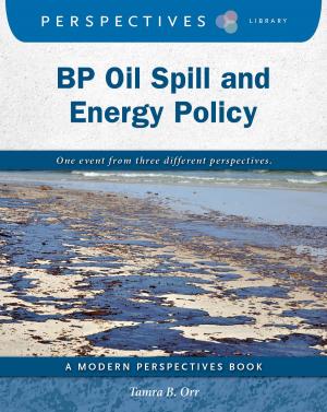 Cover of the book BP Oil Spill and Energy Policy by Martin Gitlin