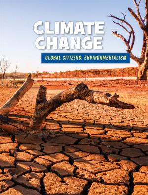 Cover of the book Climate Change by Kristin Fontichiaro, Grace de Klerk