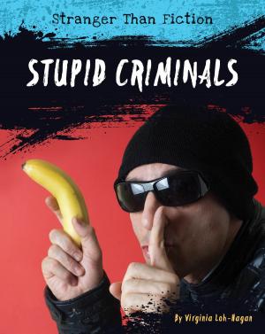 Cover of the book Stupid Criminals by Virginia Loh-Hagan