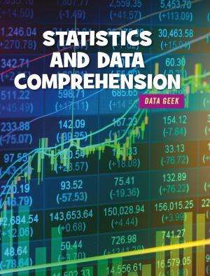 Cover of the book Stats and Data Comprehension by Sara Spiller