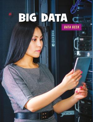 Book cover of Big Data