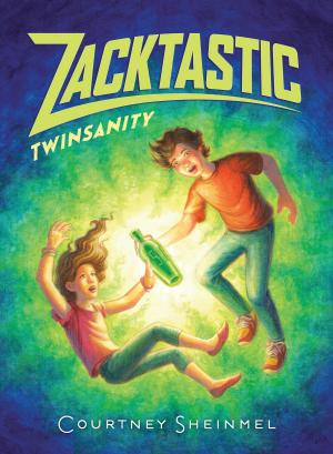Cover of the book Twinsanity by A. Peter Perdian