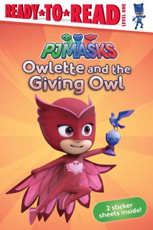 Cover of the book Owlette and the Giving Owl by Stephen Krensky