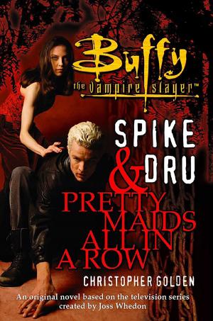 Cover of the book Spike and Dru by Allison van Diepen