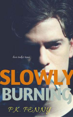 Book cover of Slowly Burning