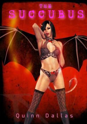 Cover of The Succubus