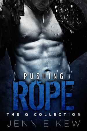 Cover of Pushing Rope
