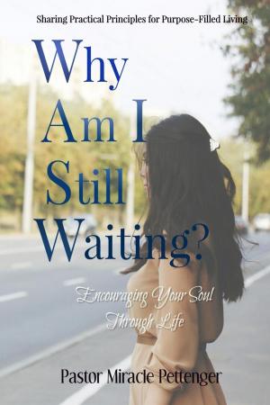 Cover of the book Why Am I Still Waiting? by Melanie Silos