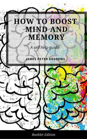 Cover of the book How to Boost Your Mind and Memory by James Amber, Janet Amber