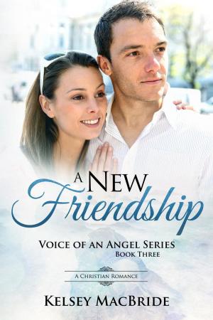 Cover of A New Friendship : A Christian Romance