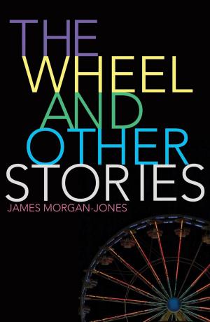 bigCover of the book The Wheel and Other Stories by 