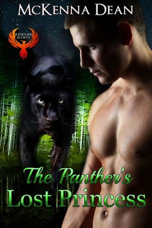 Cover of the book The Panther's Lost Princess by Aammton Alias