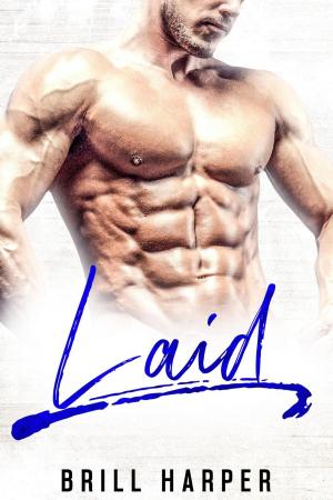 Cover of the book Laid: A Blue Collar Bad Boys Book by Nikki Bolvair