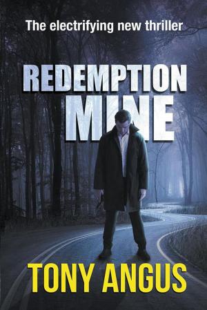 bigCover of the book Redemption Mine by 