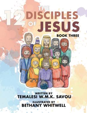 Cover of the book The 12 Disciples of Jesus by Tendayi Kanengoni