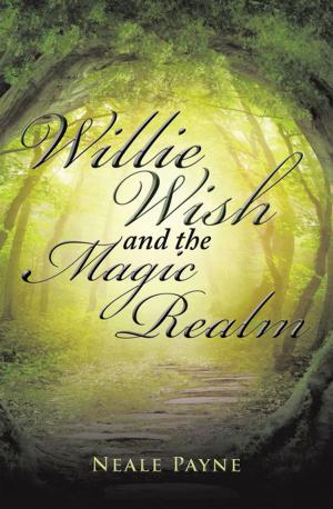 Cover of the book Willie Wish and the Magic Realm by Cuong Tat Do