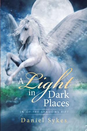 Cover of the book A Light in Dark Places by Marina Perry-Kuhn