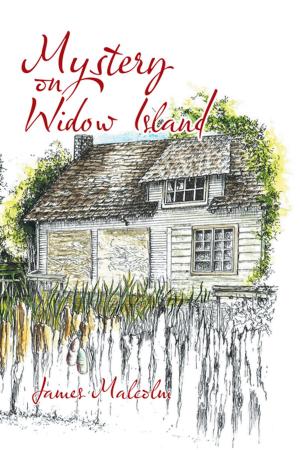 Cover of the book Mystery on Widow Island by Arthur Kahn