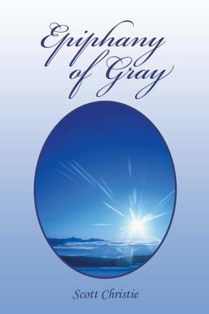 Cover of the book Epiphany of Gray by Shelly Banman