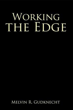Cover of the book Working the Edge by Charles J. Urstadt