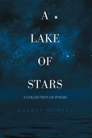 Cover of the book A Lake of Stars by Alida van den Bos