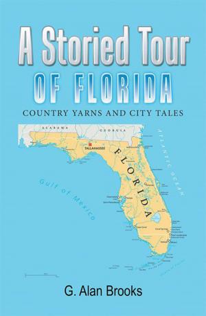 Cover of the book A Storied Tour of Florida by Adam Willhouse