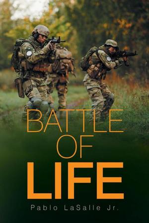 bigCover of the book Battle of Life by 