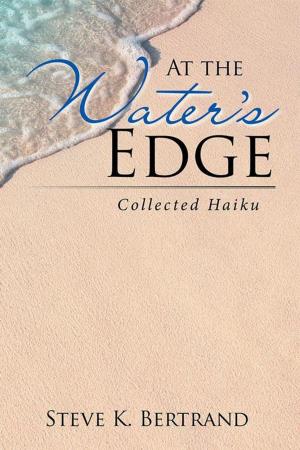 Book cover of At the Water’S Edge