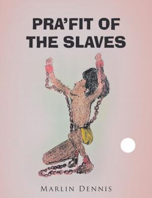 Cover of the book Pra’Fit of the Slaves by Frederick Nathan