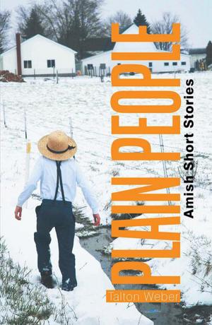 Cover of the book Plain People by Sharon C.  Williams