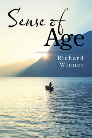 Cover of the book Sense of Age by Harry Borgman
