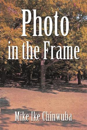 Book cover of Photo in the Frame