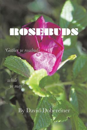 Cover of the book Rosebuds by Tsitsi Dorcas Jongwe